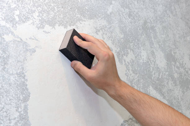 Best HVAC Mold Inspection and Cleaning  in Senath, MO
