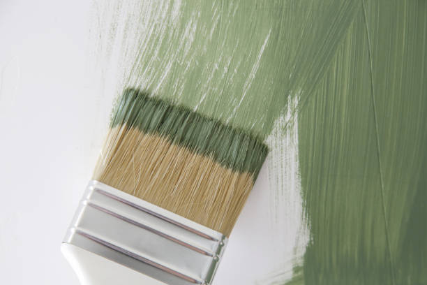 Best Mold Odor Removal Services  in Senath, MO