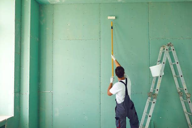 Best Real Estate Mold Inspection  in Senath, MO