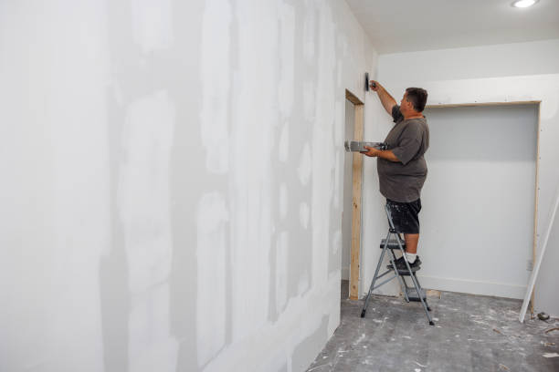 Best Forensic Mold Investigation  in Senath, MO