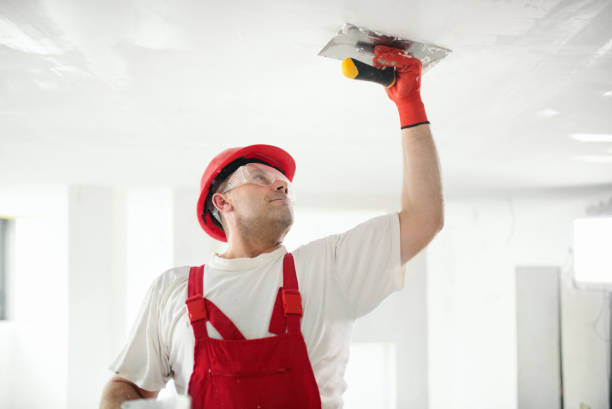 Senath, MO Mold Removal Company