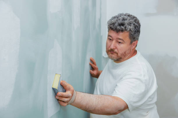  Senath, MO Mold Removal Pros