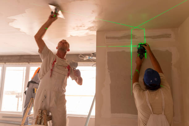 Best Mold Prevention Services  in Senath, MO